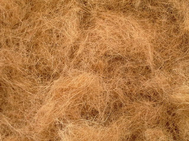 c1 c1